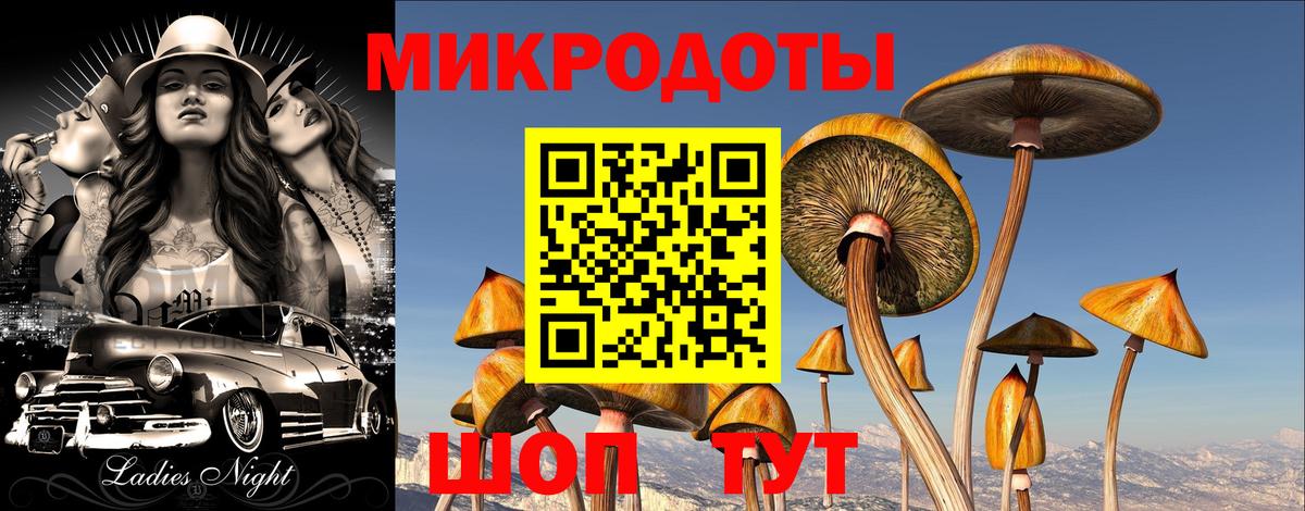 как найти наркотики  Вход с VPN  Каменск-Уральский  Псилоцибиновые грибы Cubensis  Галлюциногенные грибы мухоморы 